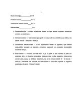 Referāts 'Sociālā psiholoģija - personība grupas procesā', 5.