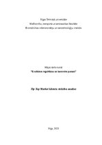 Referāts 'Tip-Top Market klientu sūdzību analīze', 1.