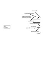 Referāts 'Tip-Top Market klientu sūdzību analīze', 63.