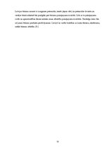 Referāts 'Tūrisma attīstības iespējas Latvijā', 18.