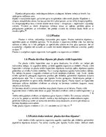 Referāts 'Sporta ietekme uz plaušu tilpumu', 7.