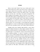 Referāts 'Ķekavas novada attīstības iespējas', 2.