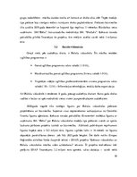 Referāts 'Ķekavas novada attīstības iespējas', 10.