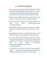 Referāts 'Ķekavas novada attīstības iespējas', 13.