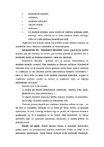 Referāts 'Uzņēmuma serviss', 13.