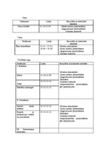 Referāts 'Uzņēmuma serviss', 28.