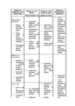 Referāts 'Uzņēmuma serviss', 40.