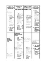 Referāts 'Uzņēmuma serviss', 42.