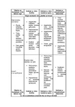 Referāts 'Uzņēmuma serviss', 43.