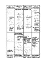 Referāts 'Uzņēmuma serviss', 44.