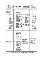 Referāts 'Uzņēmuma serviss', 45.