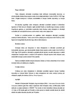 Referāts 'Valsts parāda vērtspapīri', 4.