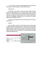 Referāts 'Valsts parāda vērtspapīri', 5.