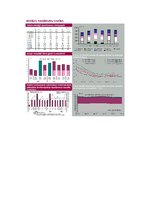 Referāts 'Valsts parāda vērtspapīri', 6.