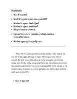 Referāts 'Uguns', 2.