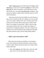 Referāts 'Uguns', 3.