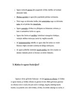 Referāts 'Uguns', 4.