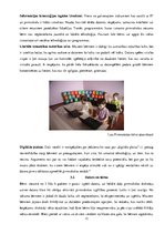 Referāts 'Informācijas tehnoloģiju pielietojums pirmsskolas izglītības iestādēs', 12.