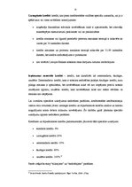 Referāts 'Banku kreditēšana', 15.