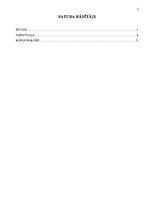 Eseja 'Gaisa piesārņojums', 2.