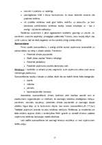 Referāts 'SIA "Latvija Statoil" preču un pakalpojumu raksturojums, to reklāmas veidu un sa', 17.