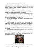 Referāts 'SIA "Latvija Statoil" preču un pakalpojumu raksturojums, to reklāmas veidu un sa', 28.