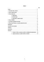 Referāts 'Fobijas', 2.