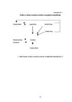 Referāts 'Fobijas', 28.