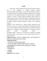 Referāts 'Komunikācijas process SIA "X"', 2.