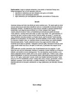 Referāts 'Pilsoņu karš Amerikā', 3.