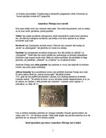 Referāts 'Pilsoņu karš Amerikā', 7.