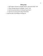 Referāts 'Marijas Montesori audzināšanas sistēma', 14.