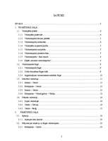 Referāts 'Veloceliņi Rīgā', 2.