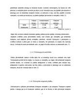 Referāts 'Veloceliņi Rīgā', 7.