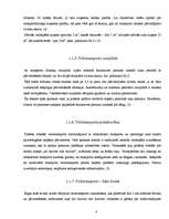 Referāts 'Veloceliņi Rīgā', 8.