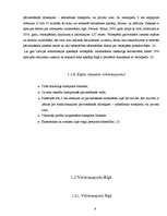 Referāts 'Veloceliņi Rīgā', 9.