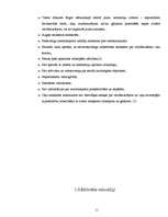 Referāts 'Veloceliņi Rīgā', 11.