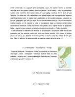 Referāts 'Veloceliņi Rīgā', 14.