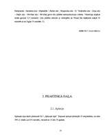 Referāts 'Veloceliņi Rīgā', 16.