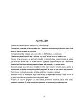 Referāts 'Veloceliņi Rīgā', 27.