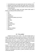 Referāts 'Pakalpojumu organizēšana uzņēmumā', 11.