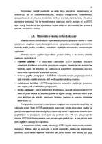 Referāts 'Pakalpojumu organizēšana uzņēmumā', 17.