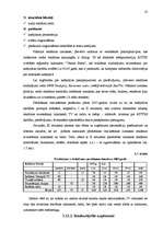 Referāts 'Pakalpojumu organizēšana uzņēmumā', 23.