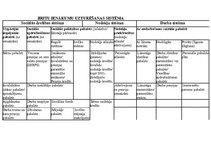 Konspekts 'Atskaite par britu sociālās drošības sistēmu', 2.