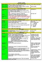 Konspekts 'Leksikas analīze', 1.