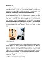 Referāts 'SPA masāžas tehnikas', 9.