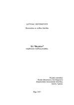 Referāts 'Uzņēmuma vadības projekts', 1.