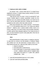 Referāts 'Uzņēmuma vadības projekts', 4.