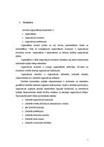 Referāts 'Uzņēmuma vadības projekts', 7.