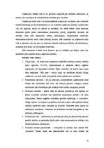 Referāts 'Uzņēmuma vadības projekts', 10.